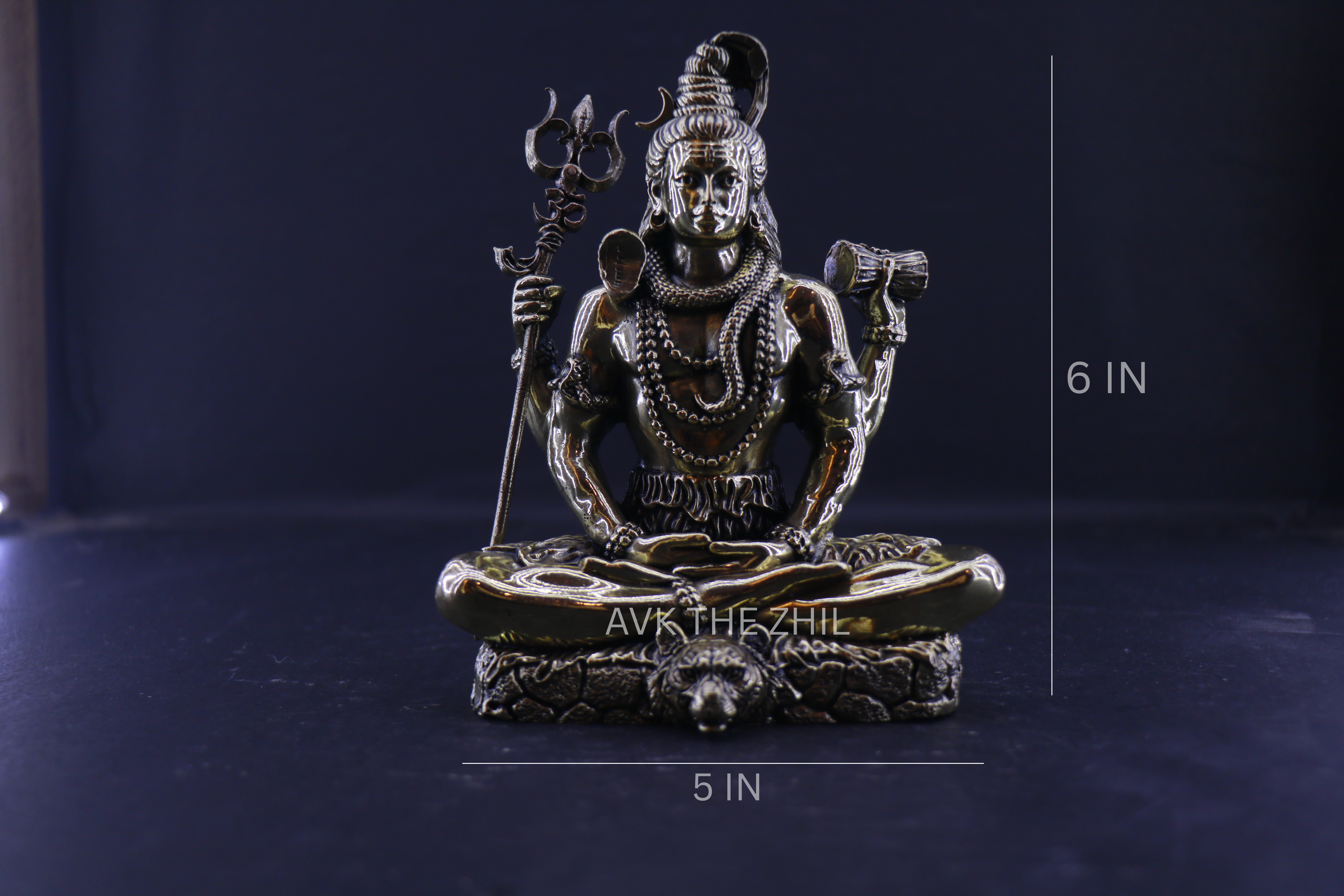 SHIVAN SITTING