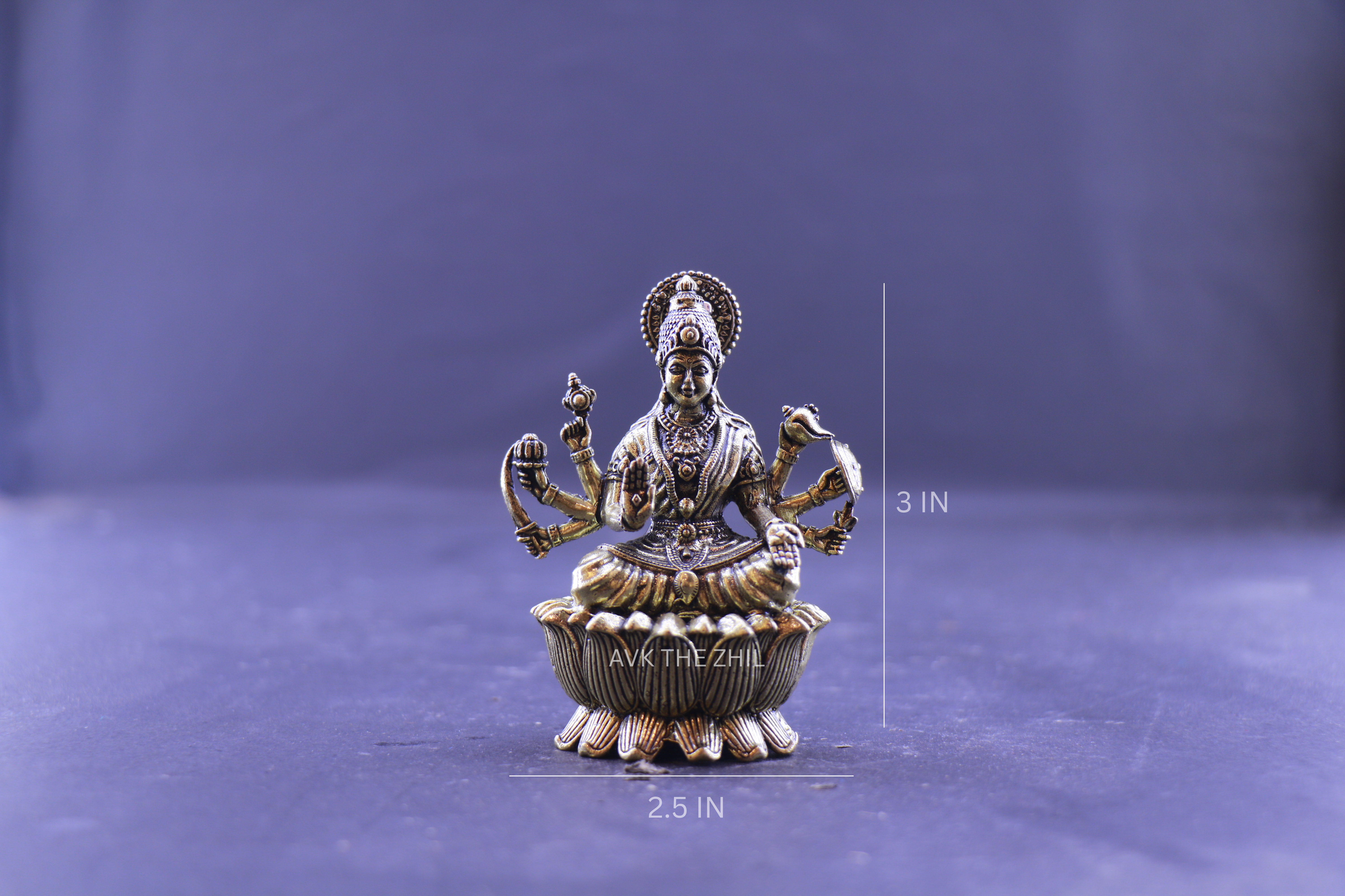 VIJAYA LAKSHMI